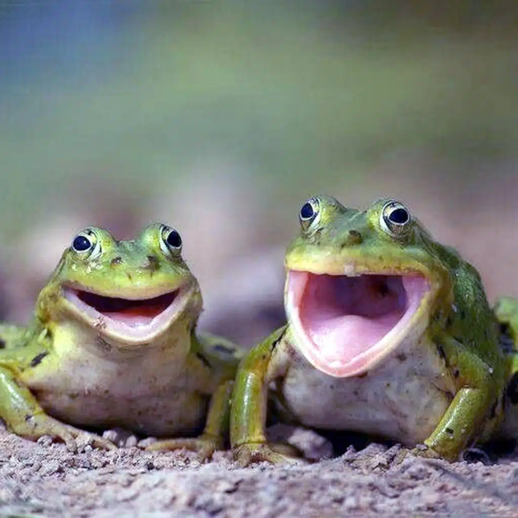 Bill Reid & the Fewer Sorrows Band