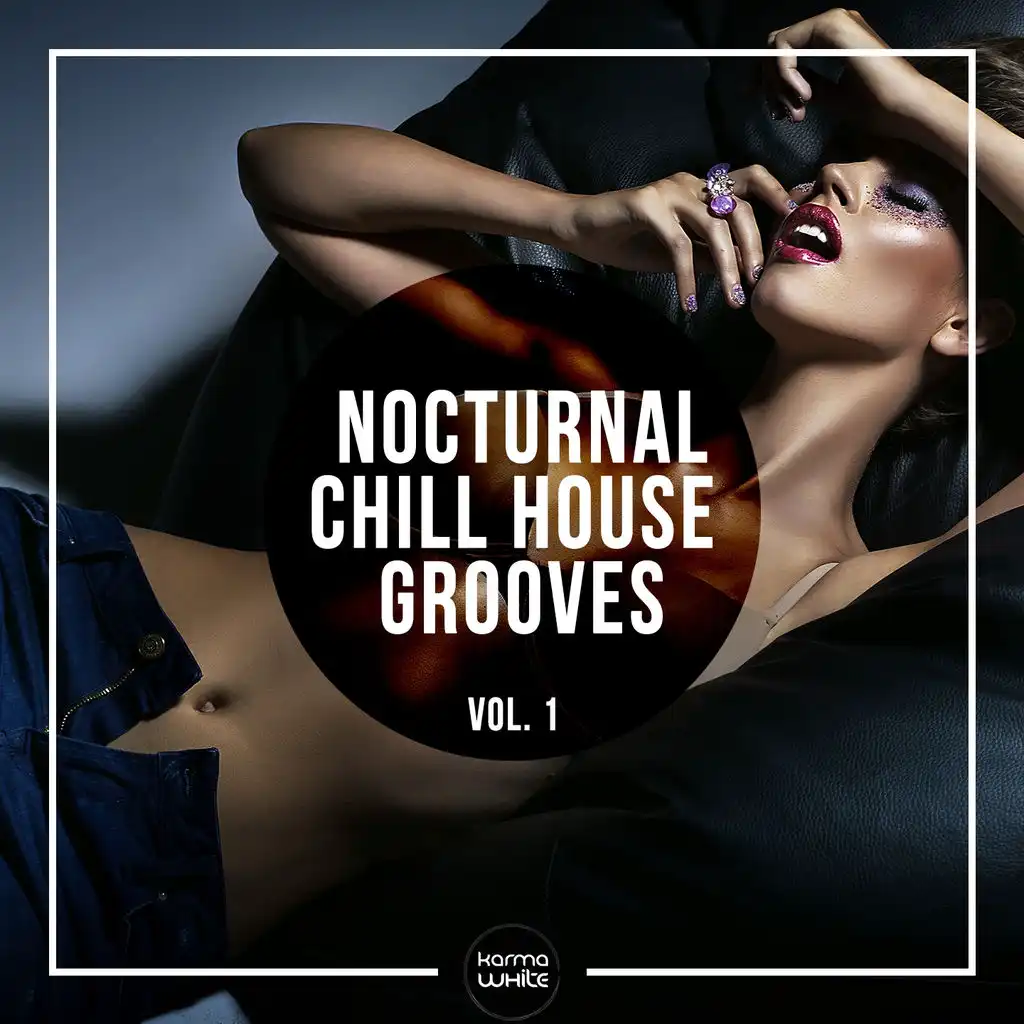Nocturnal Chill House Grooves, Vol. 1