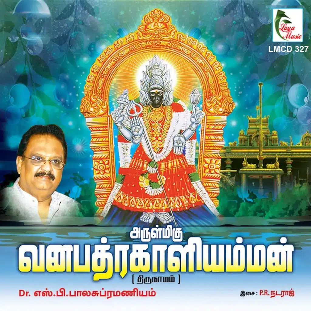 S. P. Balasubramaniyam