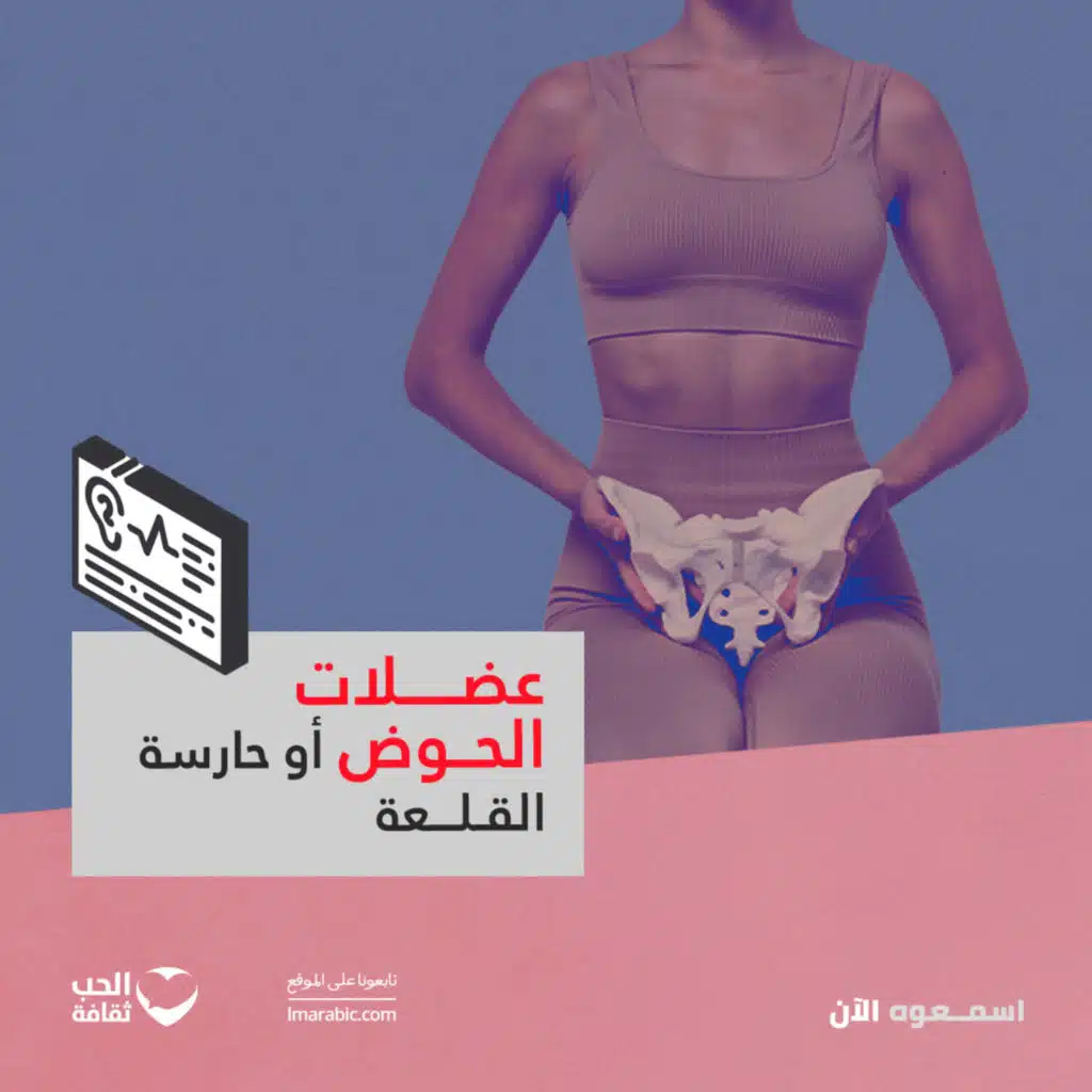 عضلات الحوض أو حارسة القلعة