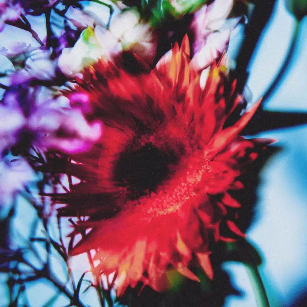 Kick The Ladder (Edit)