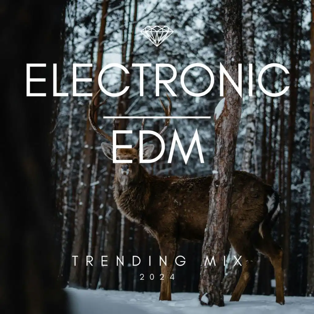 EDM & Electronic Trending Mix 2024