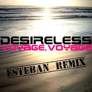 Voyage, voyage (Esteban's Akashic Klub Remix)