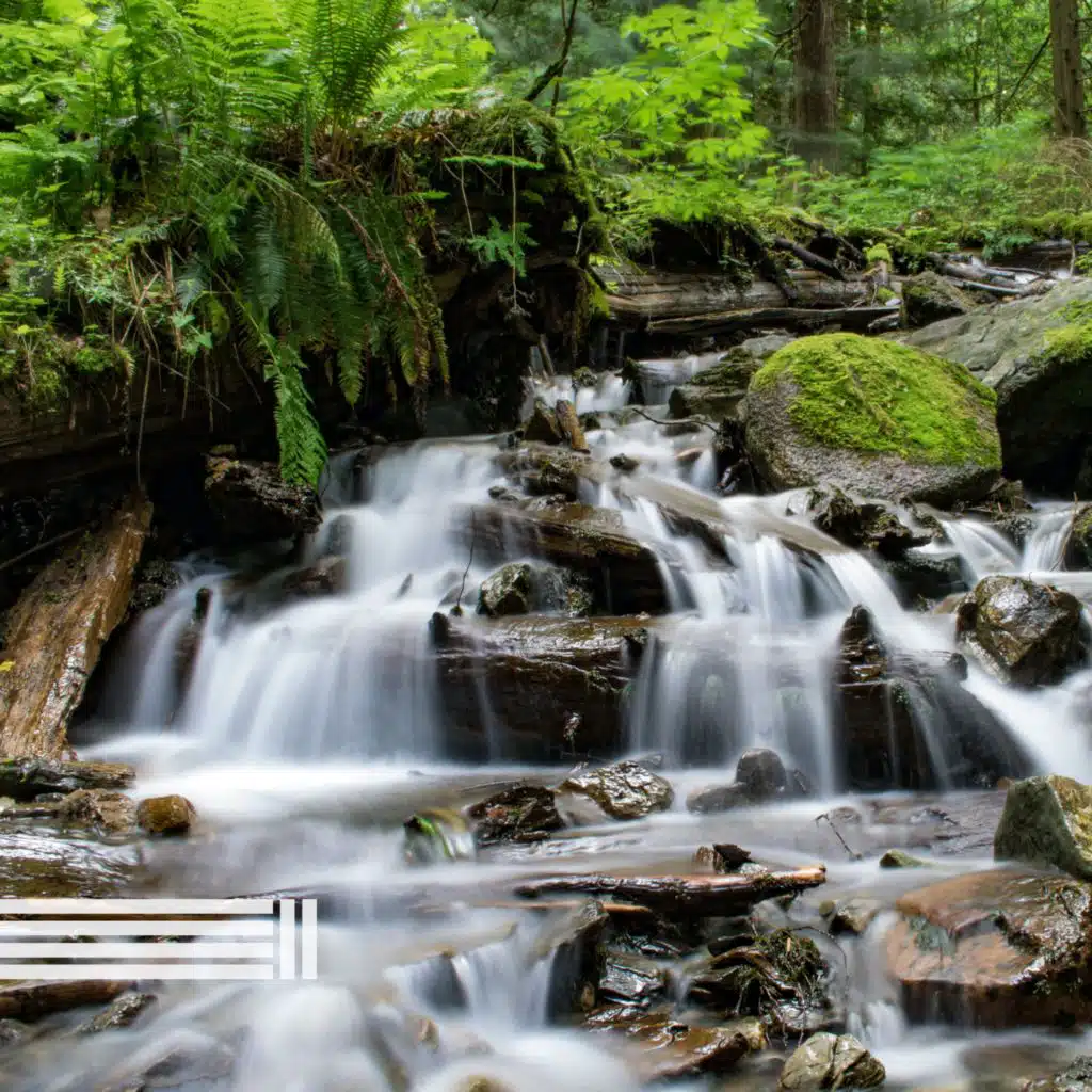 Sonidos de Cascadas, Sonidos De Agua & Zona de Sonidos de la Naturaleza