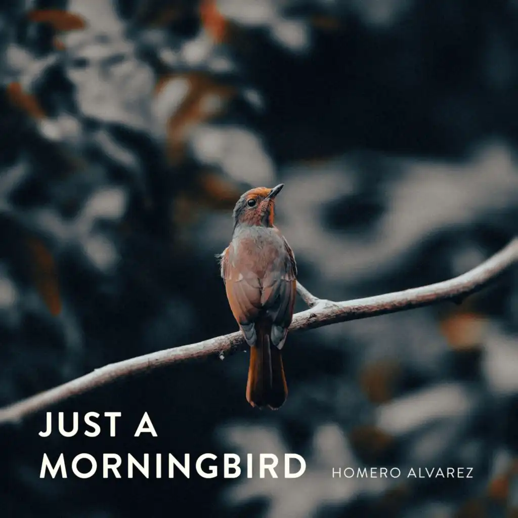 Just a Morningbird