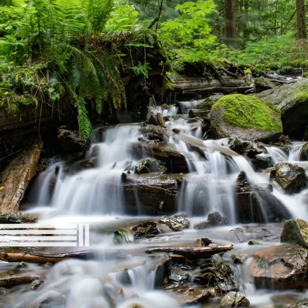 The Best Of: Sons Da Cachoeira