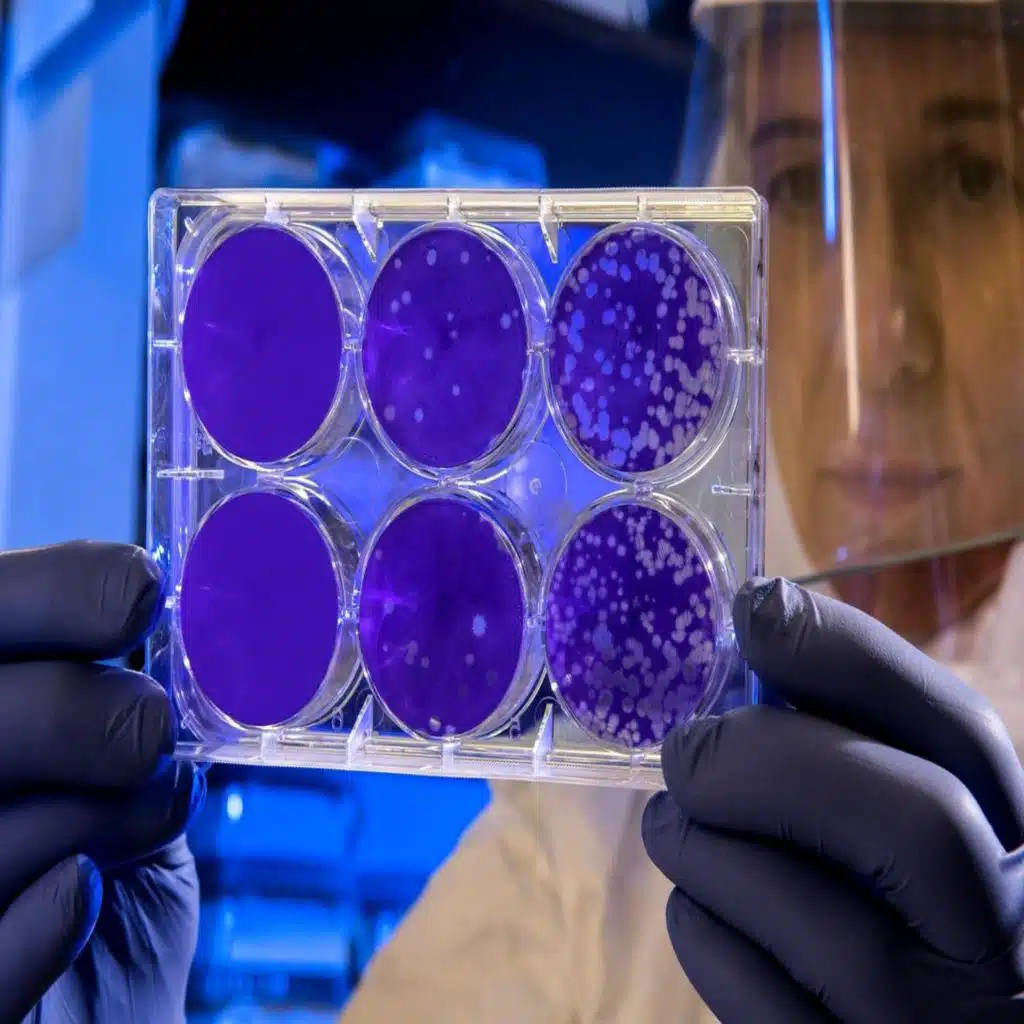 Dispatch 14: Covid Crystal Ball