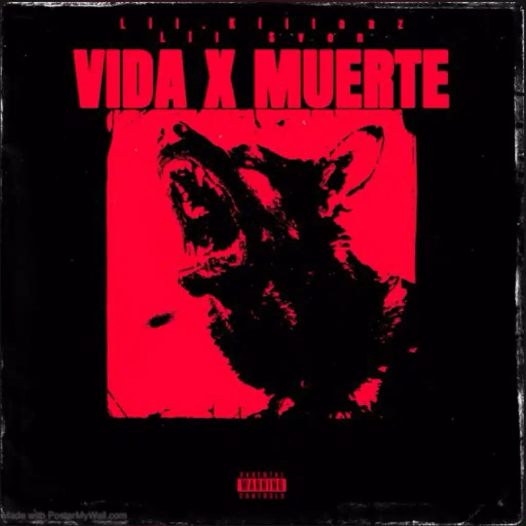 Vida X Muerte