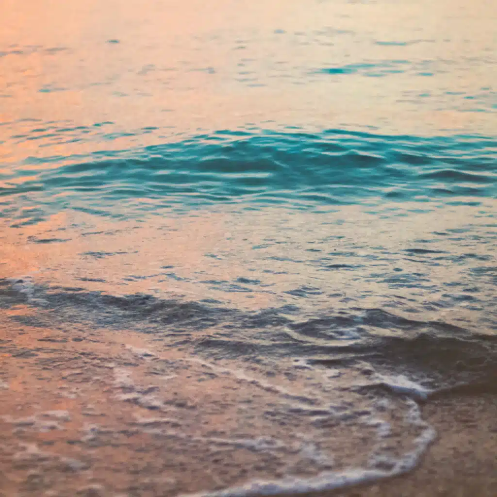 Sons da Natureza & Natureza