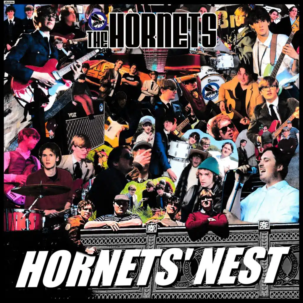 Hornets' Nest