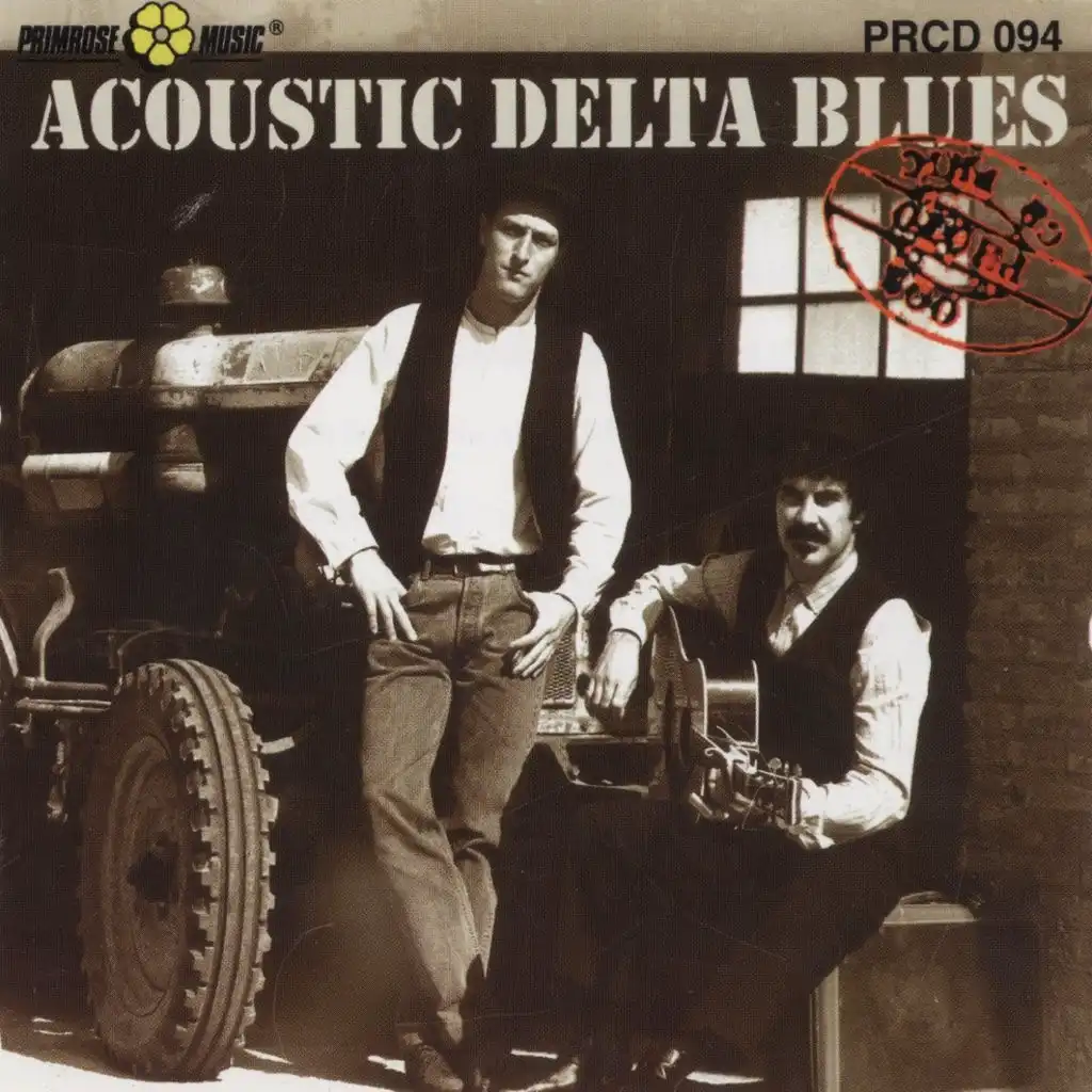 Acoustic Delta Blues