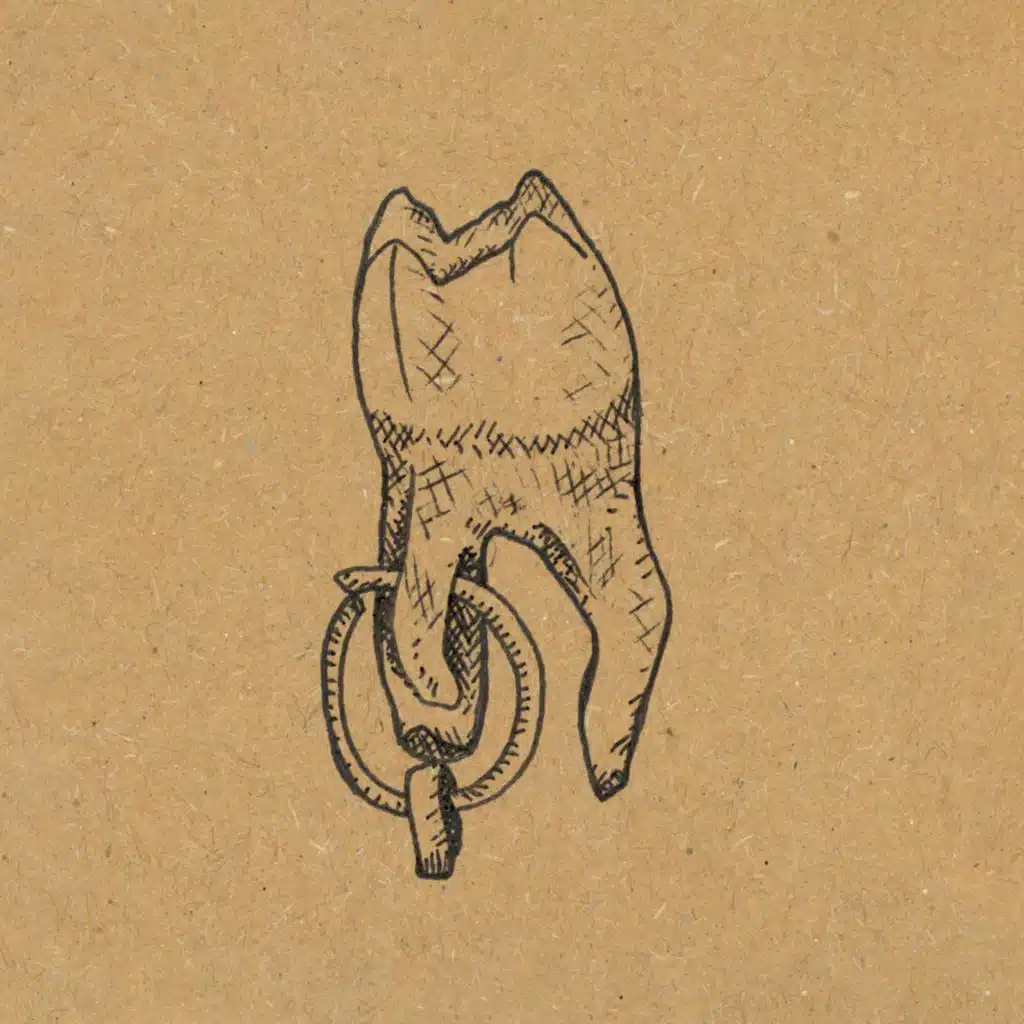 Paul Plut
