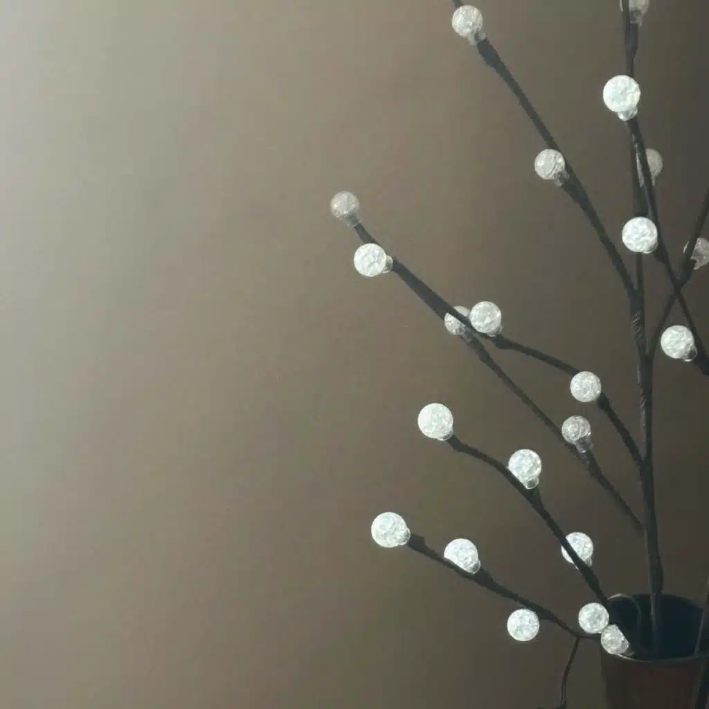 T8 Will & Dkoolpharaoh