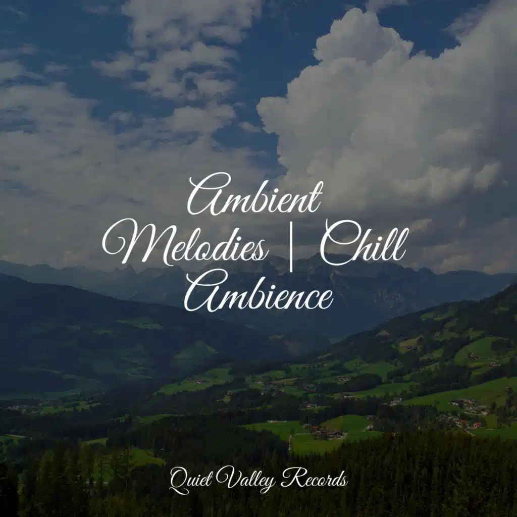 Ambient Melodies | Chill Ambience