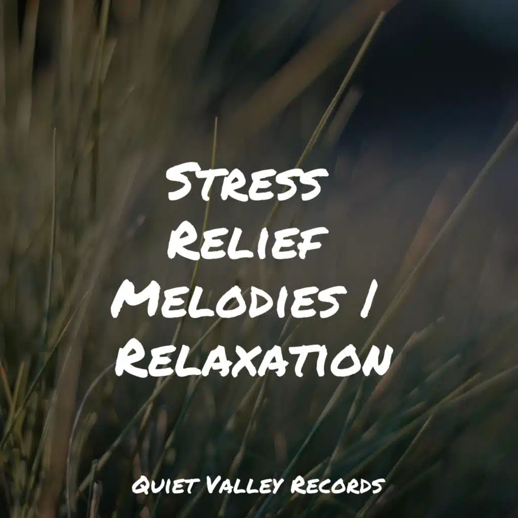 Stress Relief Melodies | Relaxation
