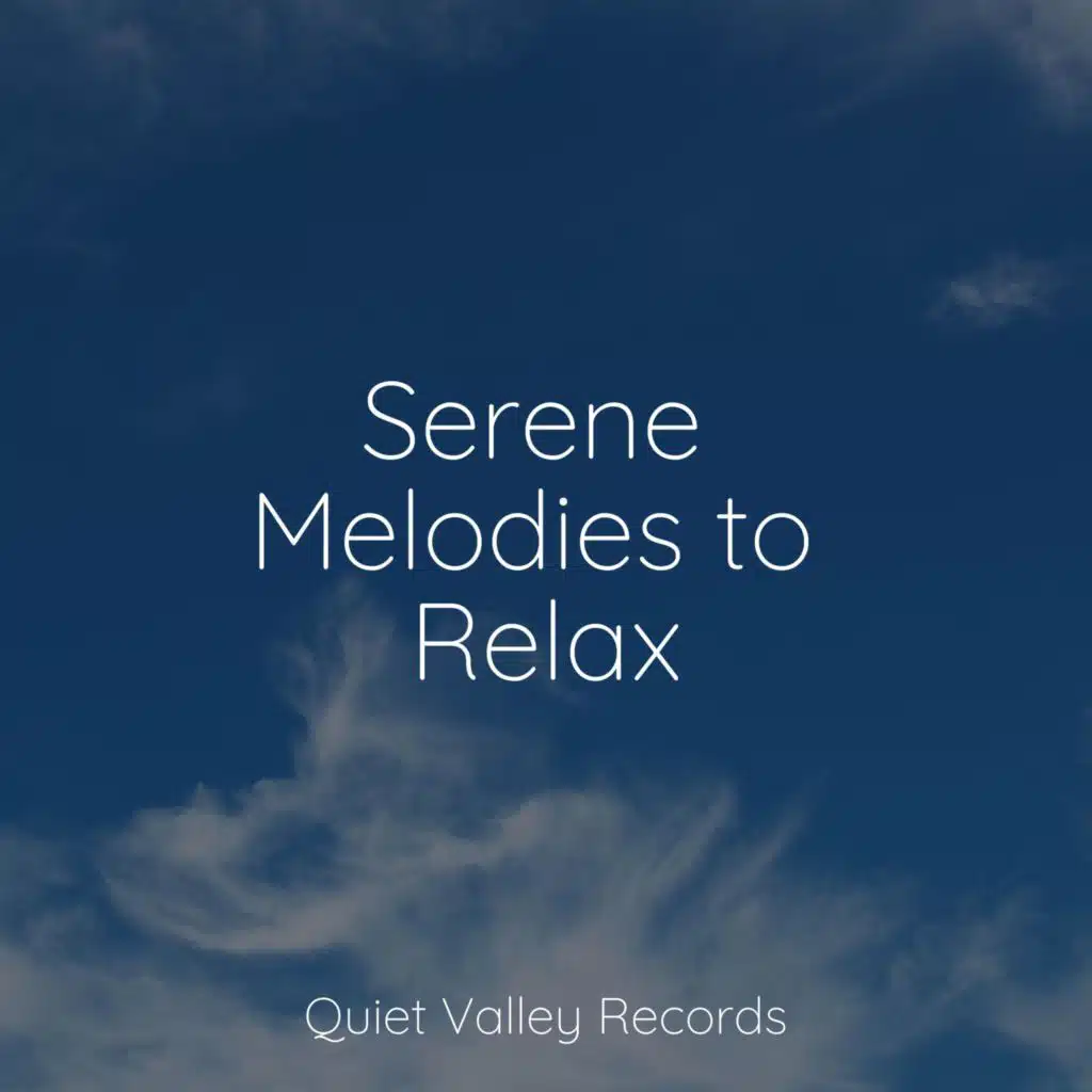 Serene Melodies to Relax