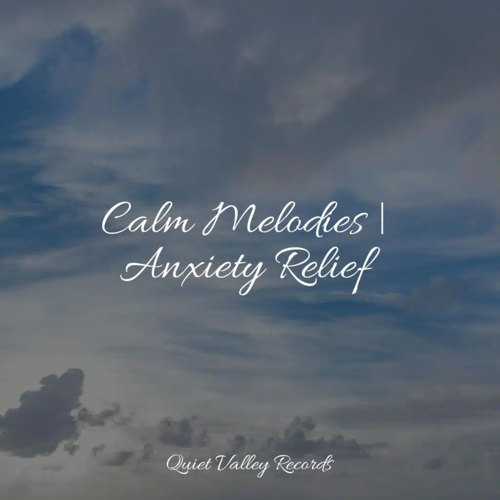 Calm Melodies | Anxiety Relief