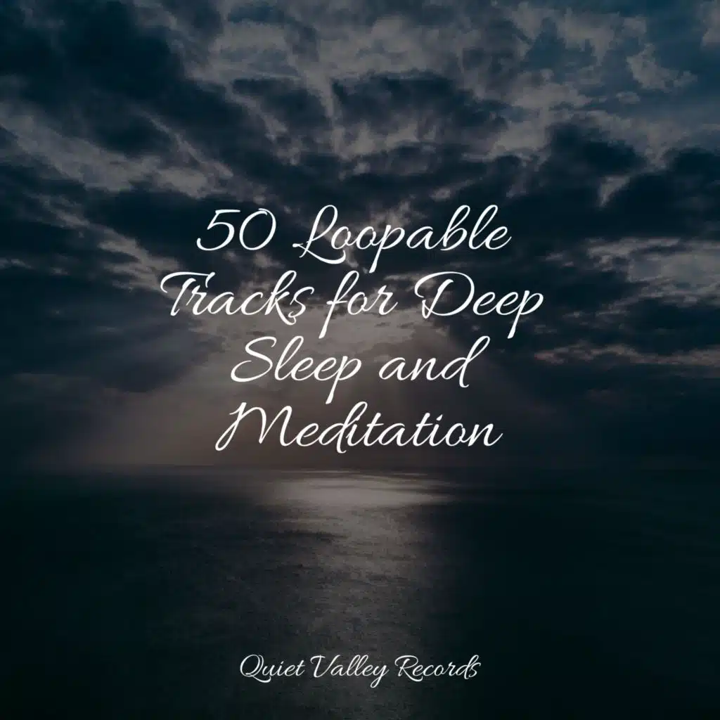 Relaxing Music and Gentle Ambience