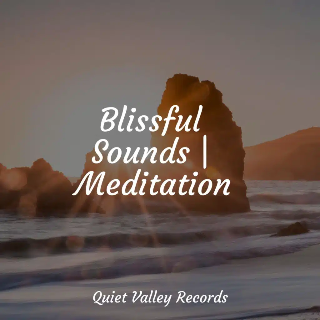 Blissful Sounds | Meditation