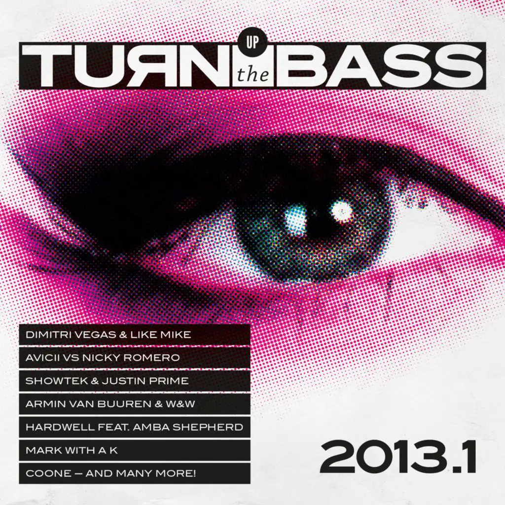 Turn Up The Bass 2013