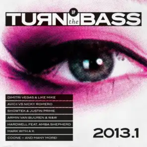 Turn Up The Bass 2013