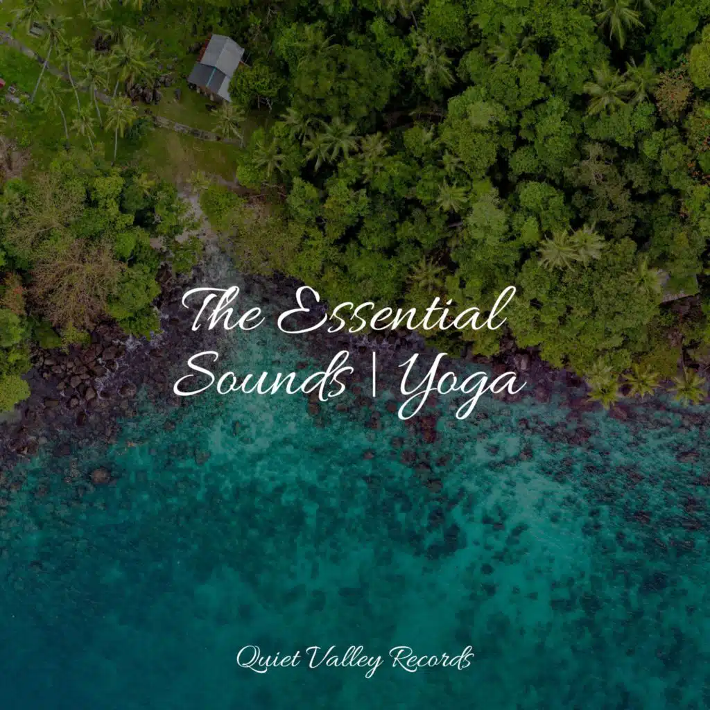 The Essential Sounds | Yoga
