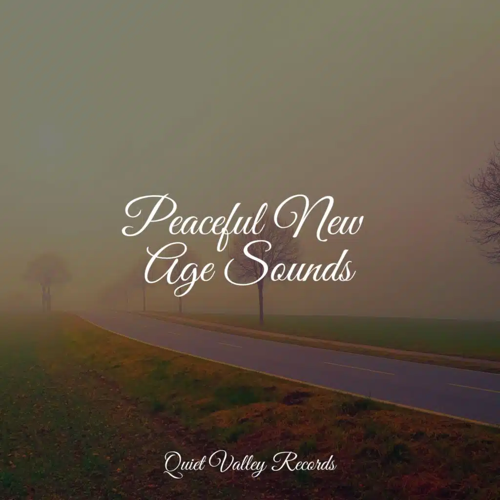 Peaceful New Age Sounds