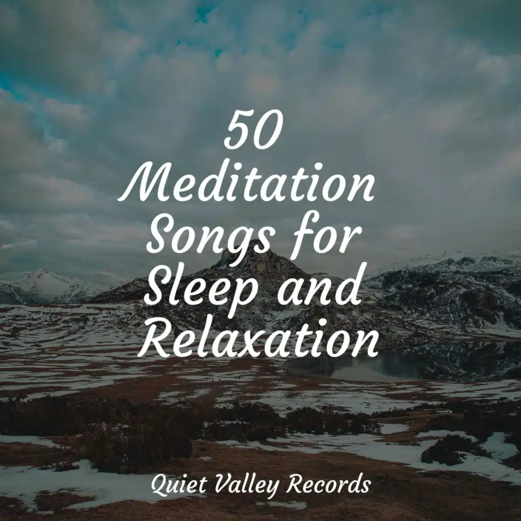 50 Meditation Songs for Sleep and Relaxation