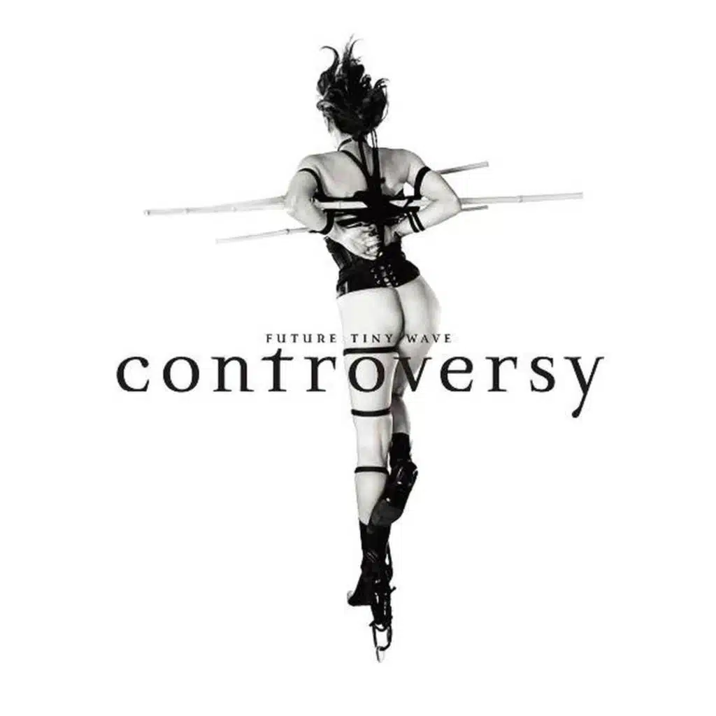 Controversy (Electro Remix)