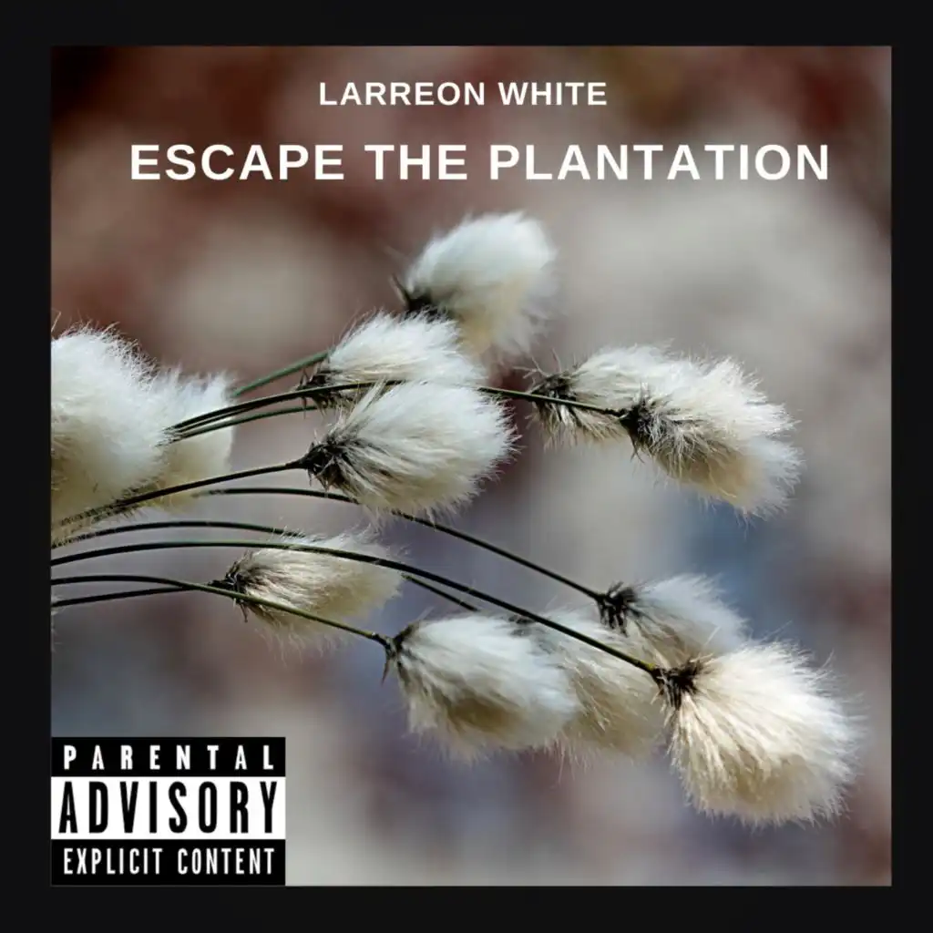 Escape the Plantation