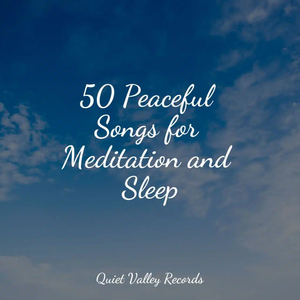 50 Peaceful Songs for Meditation and Sleep