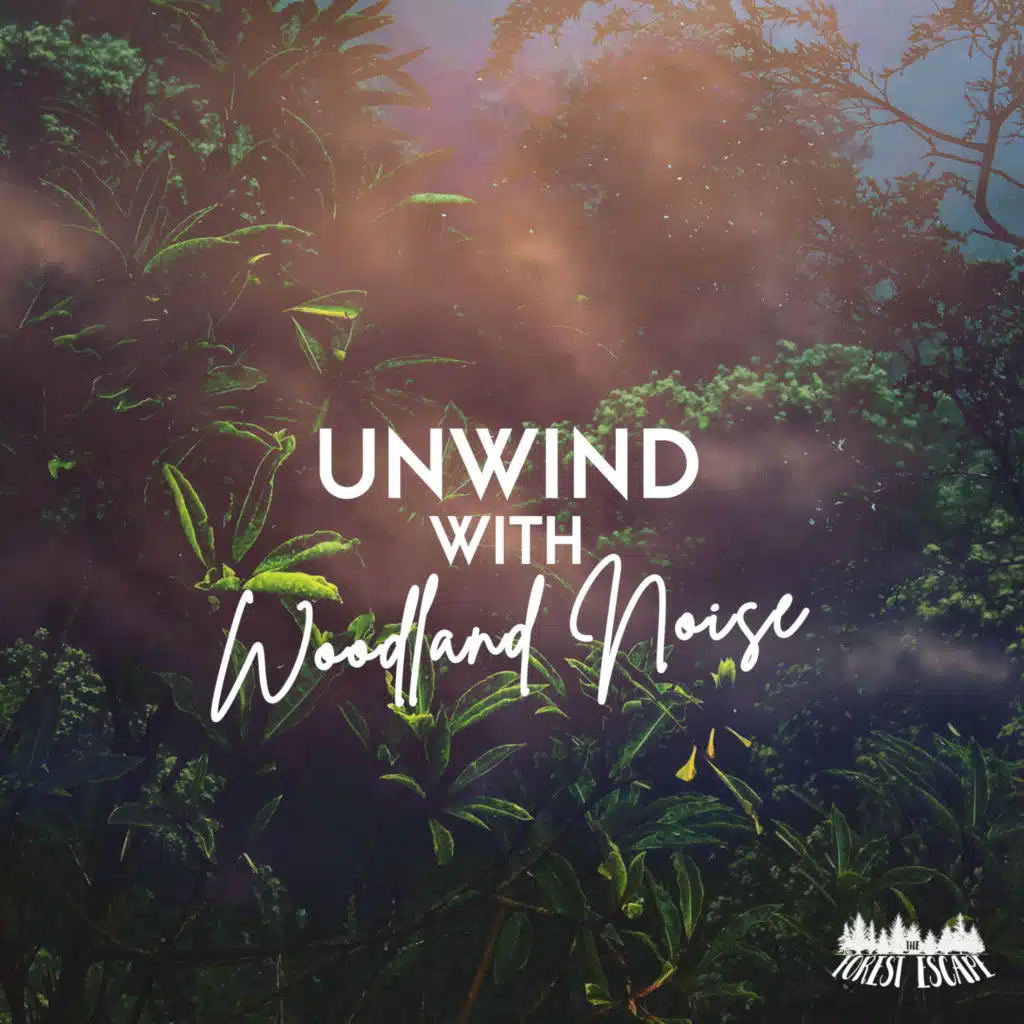 Unwind With Woodland Noise