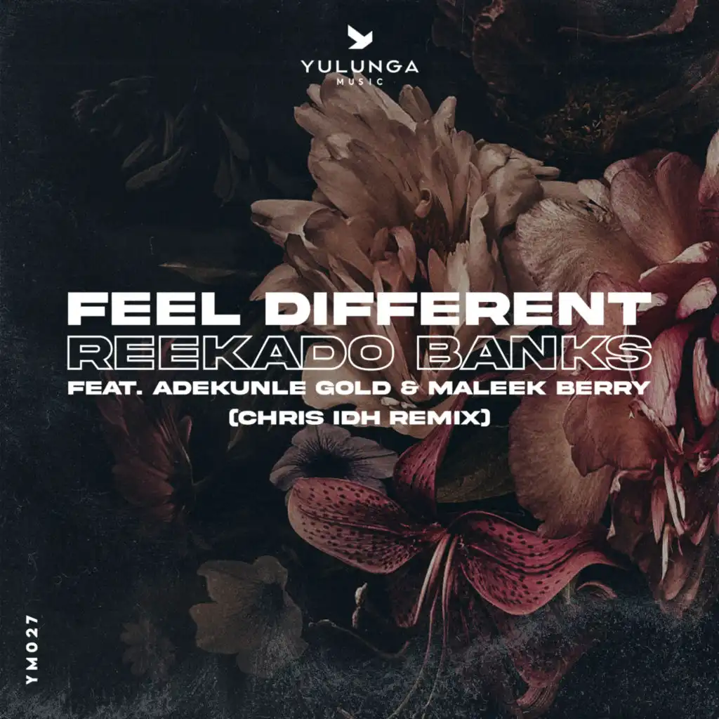 Feel Different (Chris IDH Remix) [feat. Adekunle Gold & Maleek Berry]