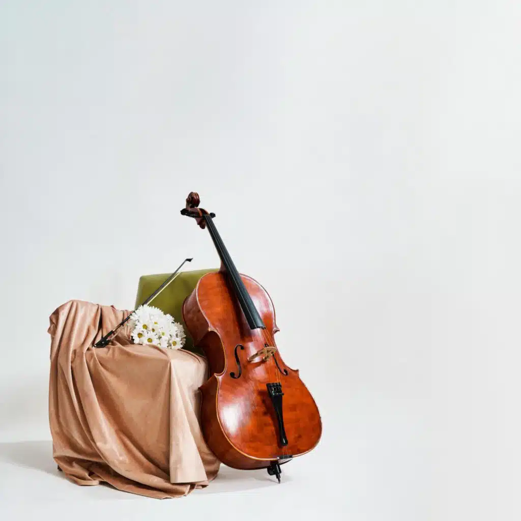 Her Symphony