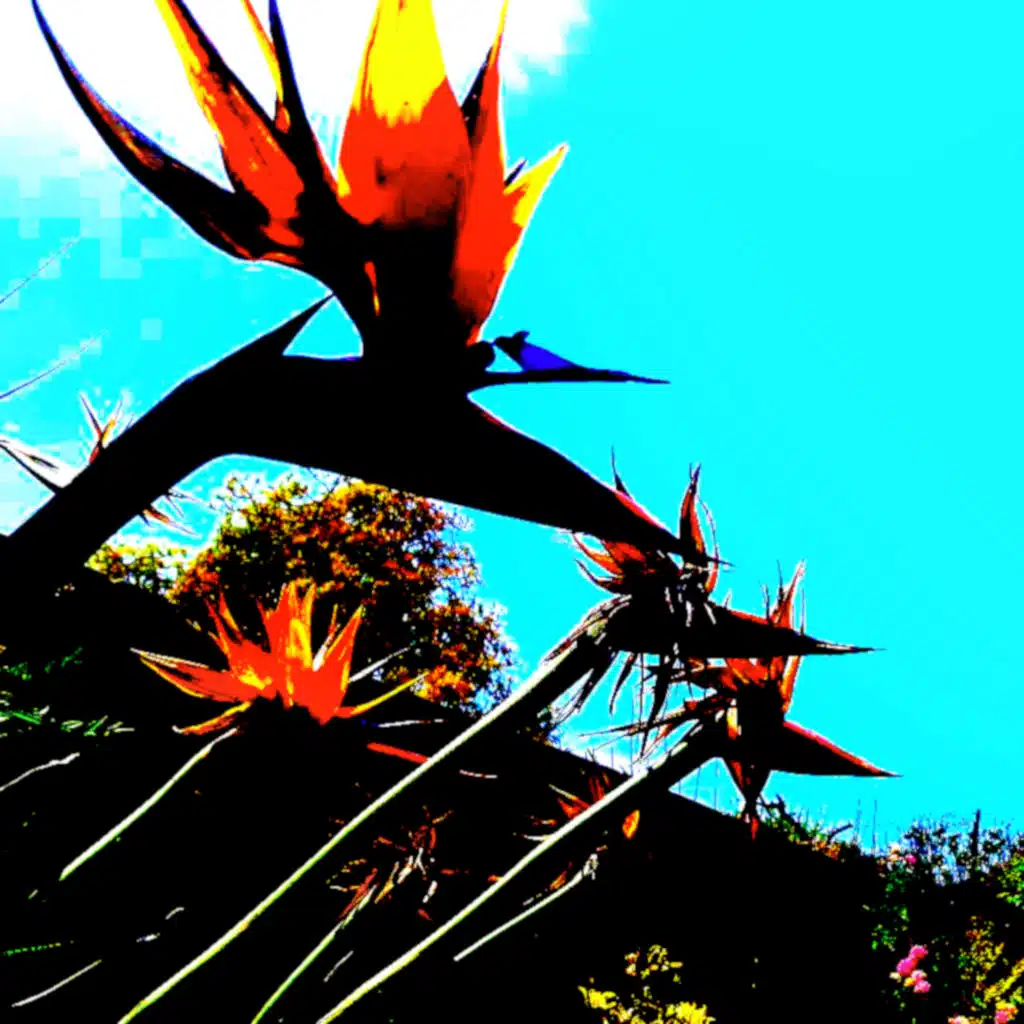 Fly Away (Instrumental) [feat. Austin Hartley-Leonard]