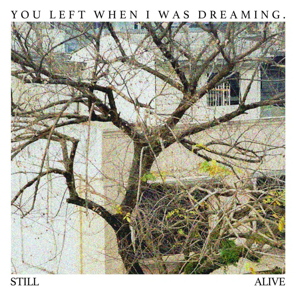 You Left When I Was Dreaming