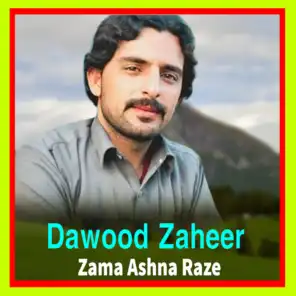 Dawood Zaheer