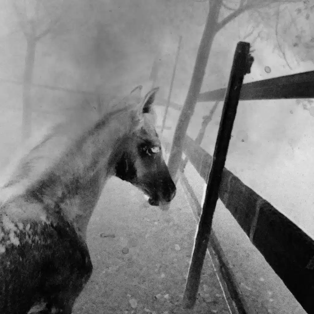 يا بنت الأيه