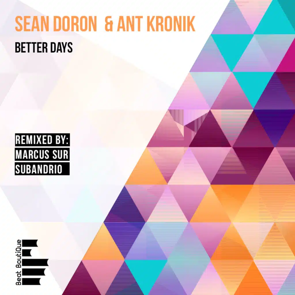 Sean Doron, Ant Kronik