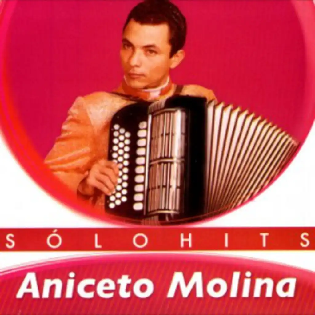 Aniceto Molina Sólo Hits