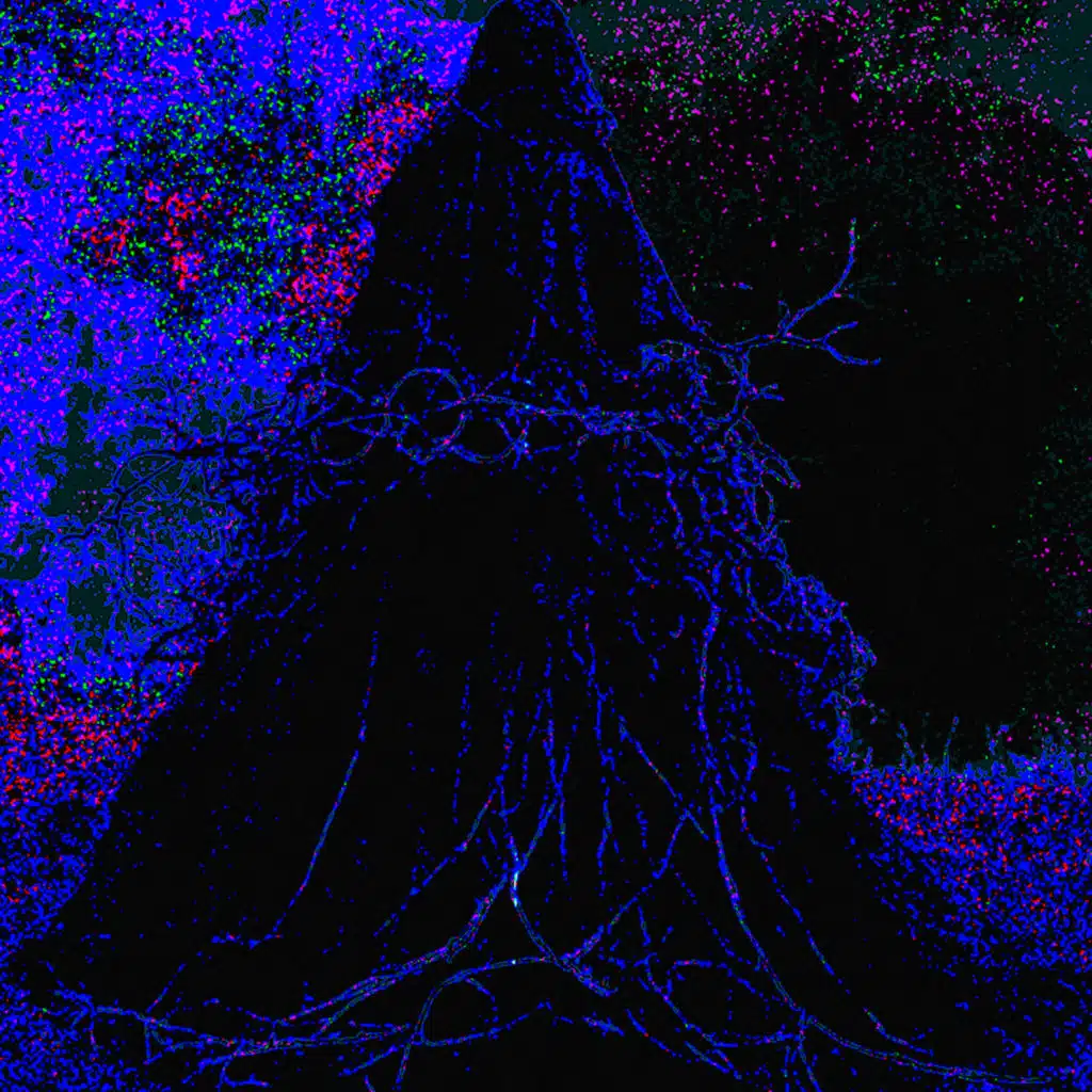 Shrouded under twigs and cloth that hold me at the low point i strive to remain @