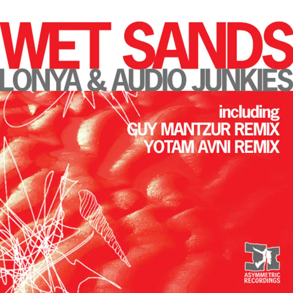 Wet Sands (Guy Mantzur 's Feathers Mix)