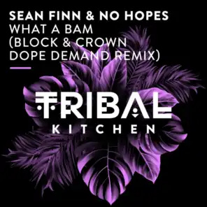 Sean Finn & No Hopes