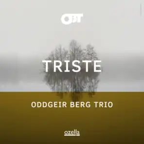 Oddgeir Berg Trio