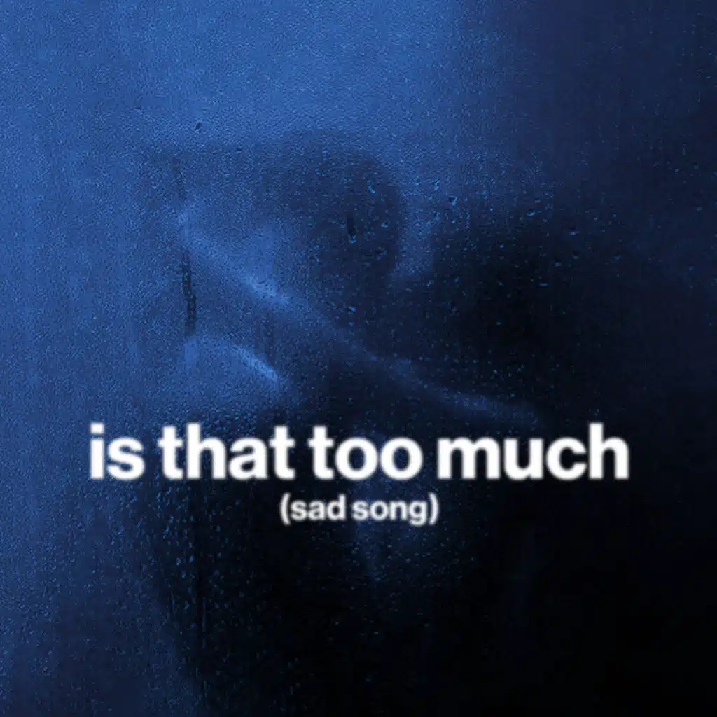 is that too much (sad song)