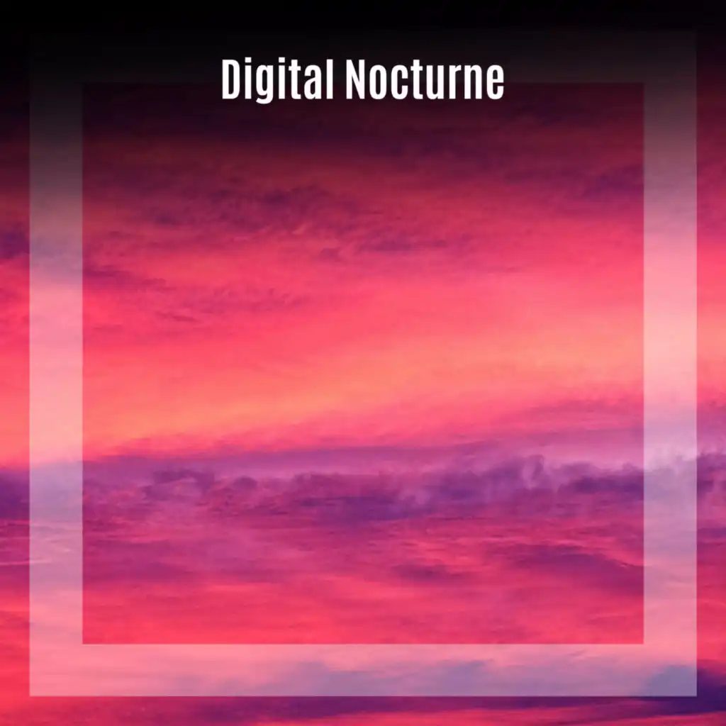 Digital Nocturne