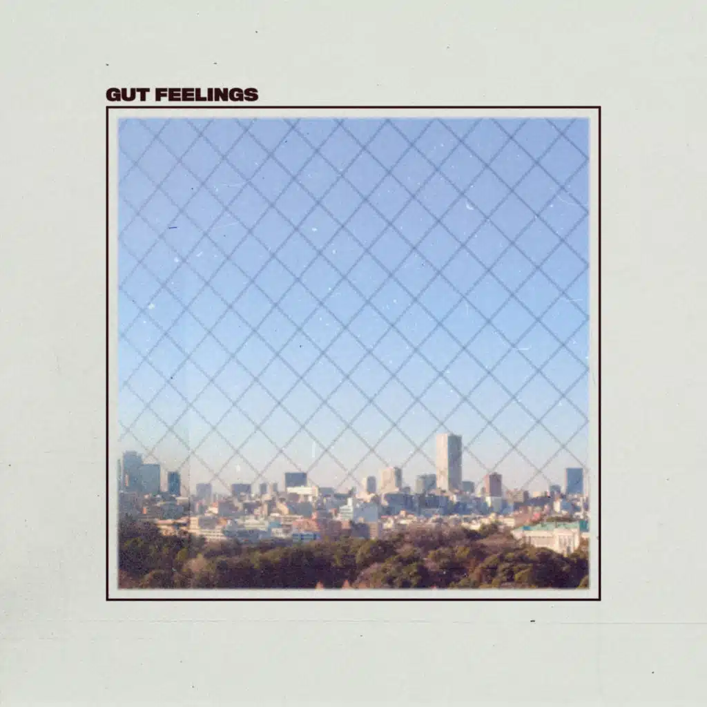 Gut Feelings