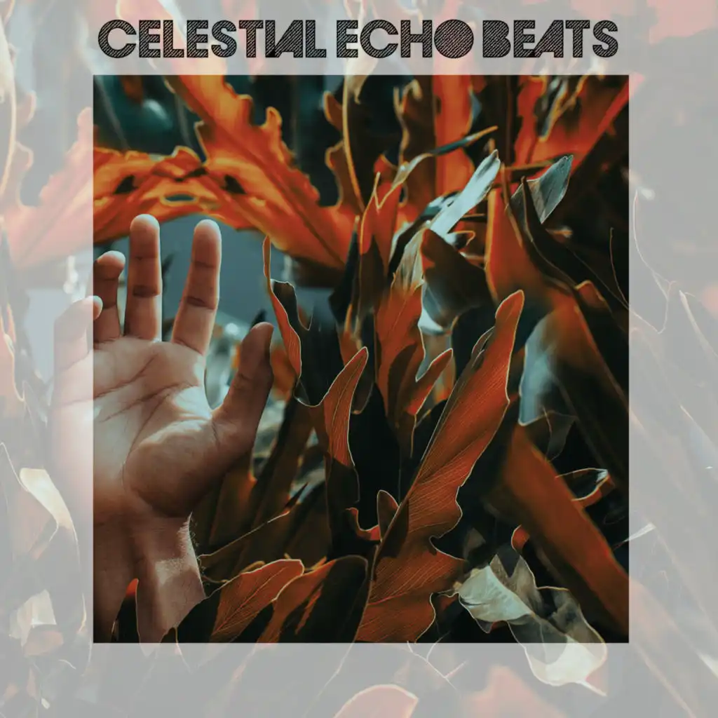 Celestial Echo Beats