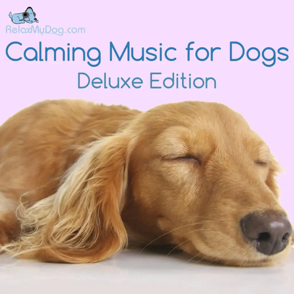 Calming Music for Dogs - Reduce Anxiety During Fireworks, Storms, Separation and Car Journeys