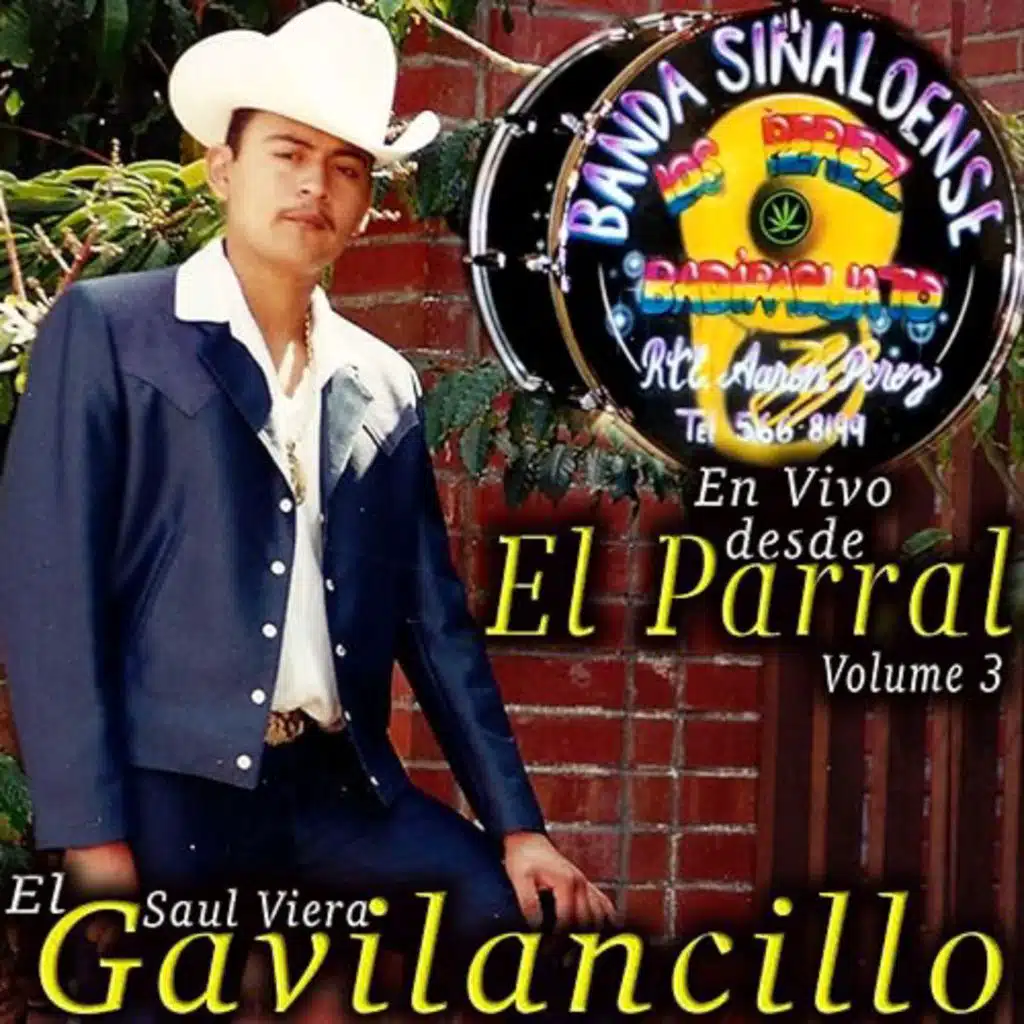 En Vivo Desde el Parral, Vol. 3